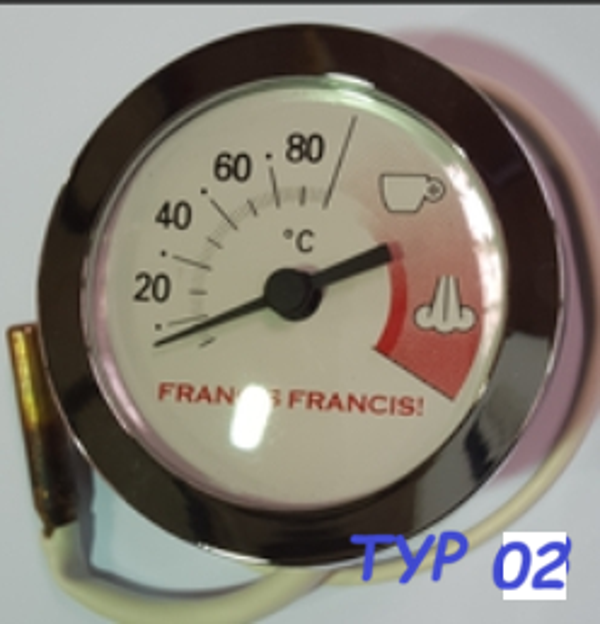 Francis X.1 & 2 C000167R Termometer TYP 02 Refurbished mit neuem Sensor Bild