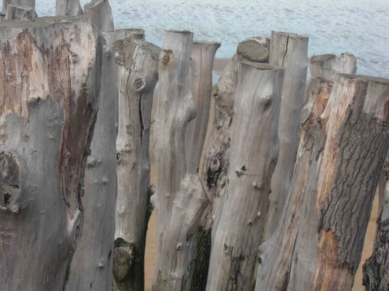 Strandpalen