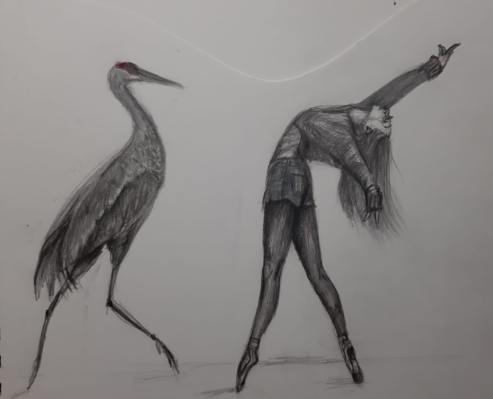 Dans met reiger
