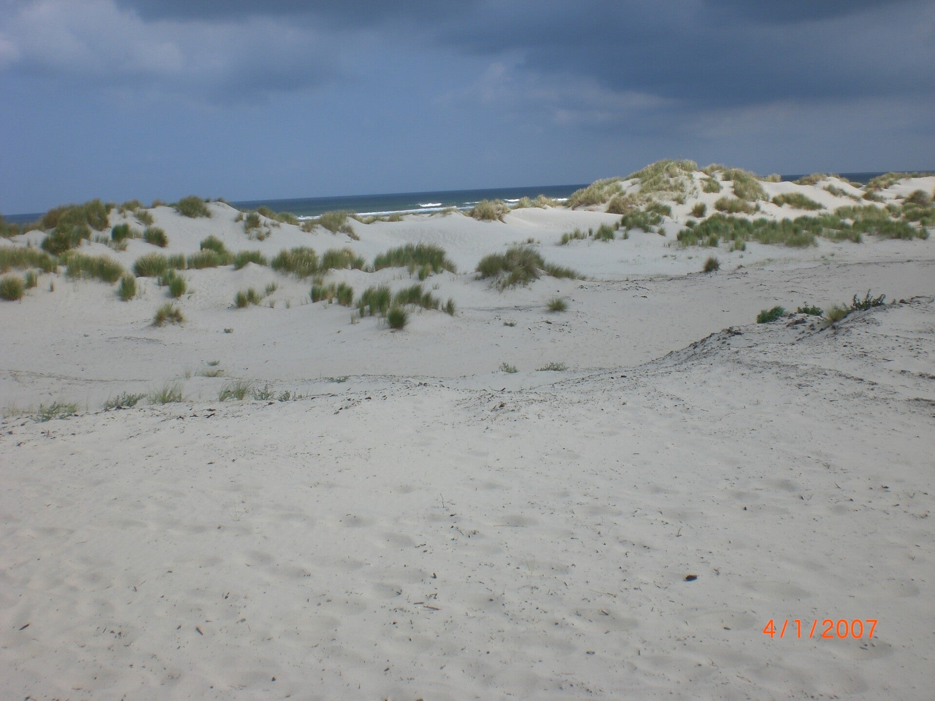 Duinen