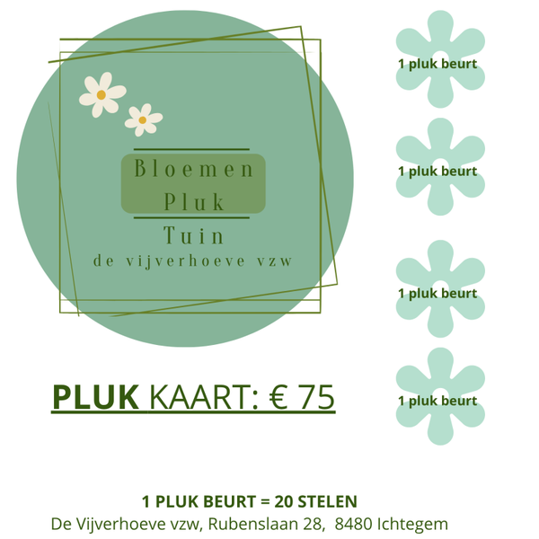 Bloemen Plukkaart 4 beurten