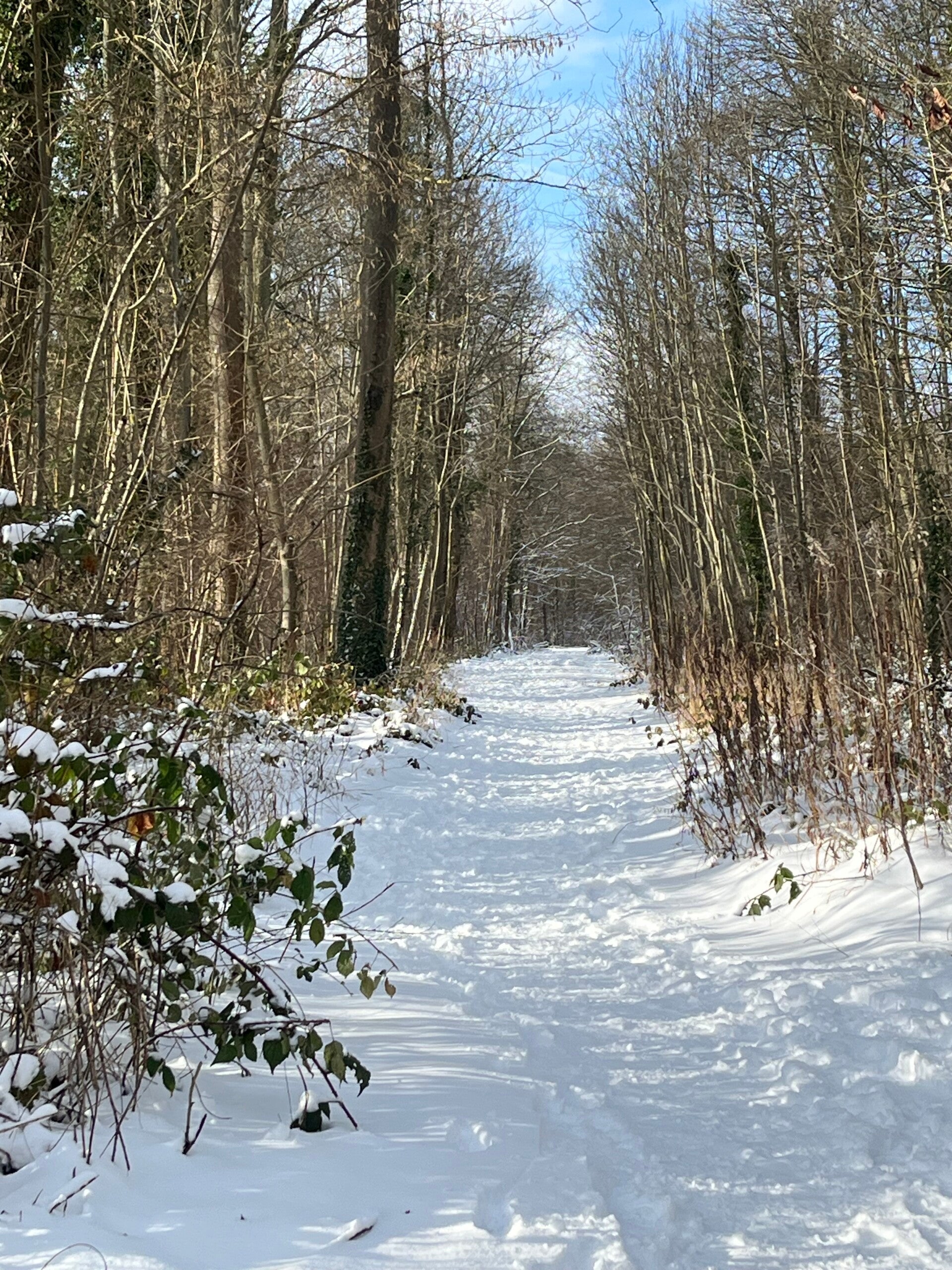 Ordinateur avec quelqu'un qui travaille
