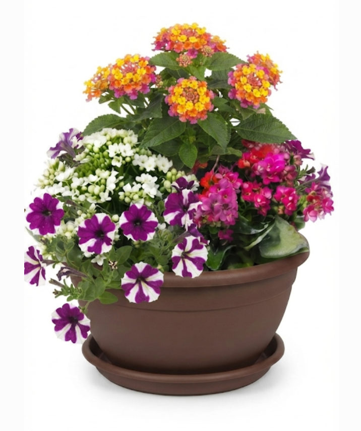 Composition B