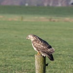 20210124-IMG_5869.jpg