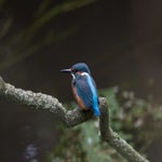 20210708-IMG_7360.jpg