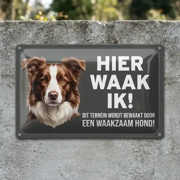 Metalen Waakbord Border Collie - Hier Waak Ik