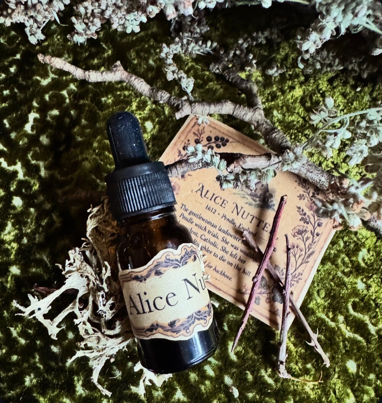 Alice Nutter cauldron oil