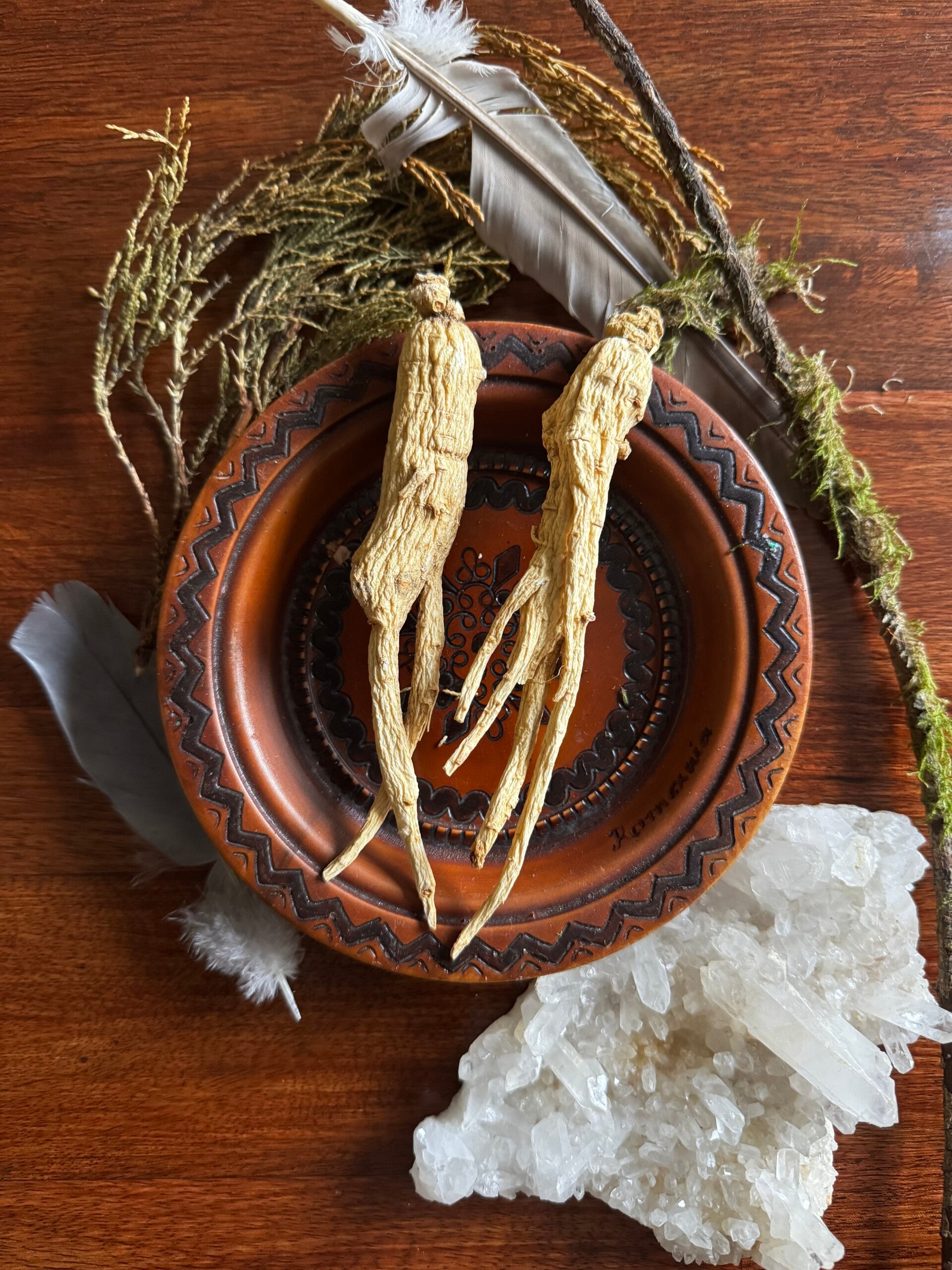 Ginseng Root