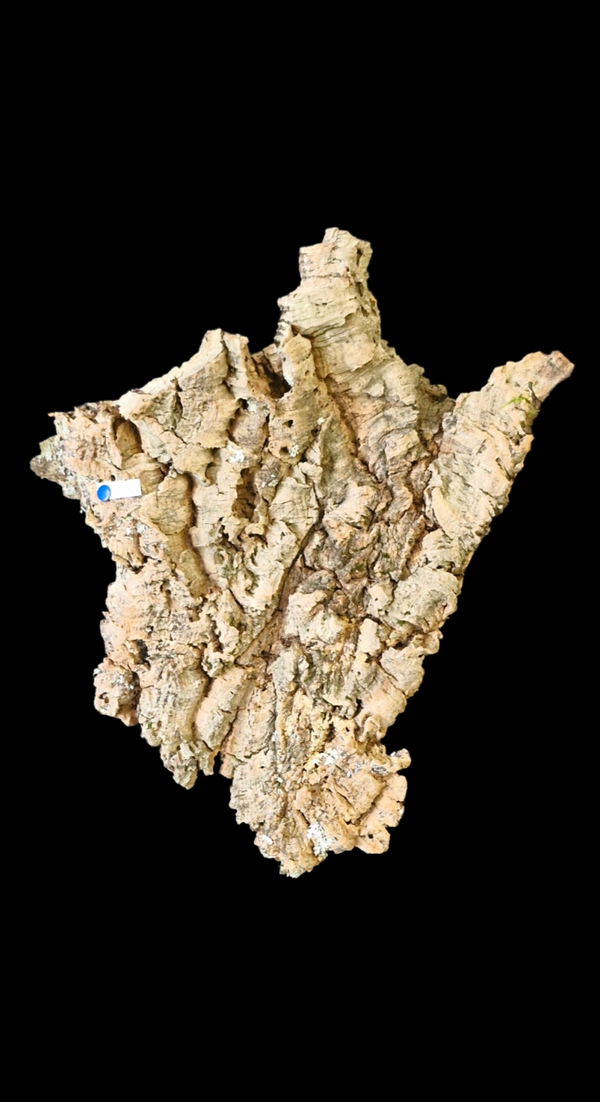 Écorce de liège 39.5 cm par 32.5 cm