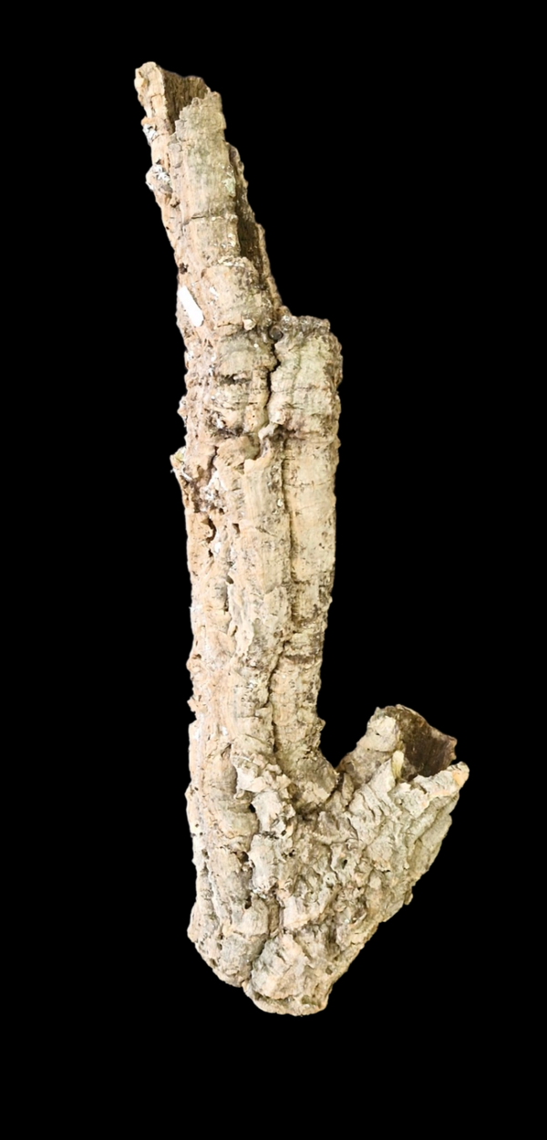 Tube de liège 68 cm