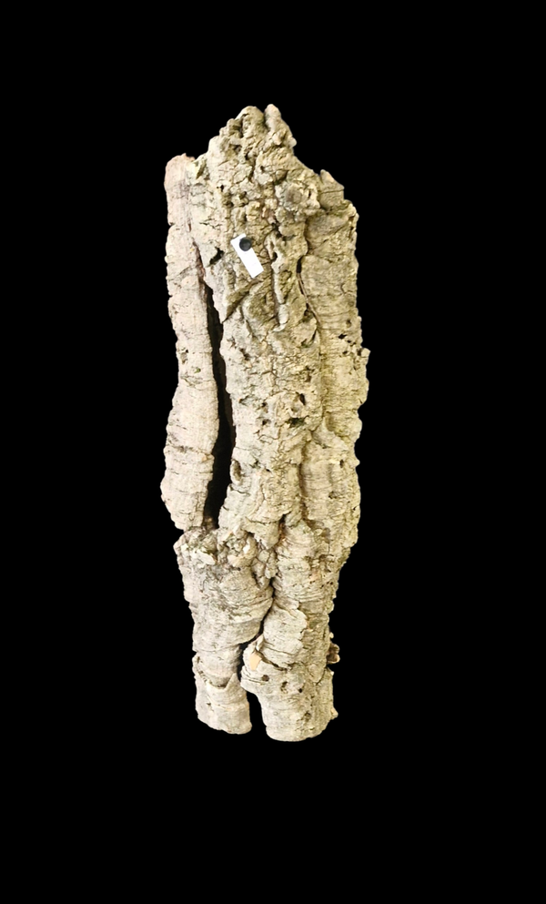 Tube de liège 54 cm Tiens seul debout