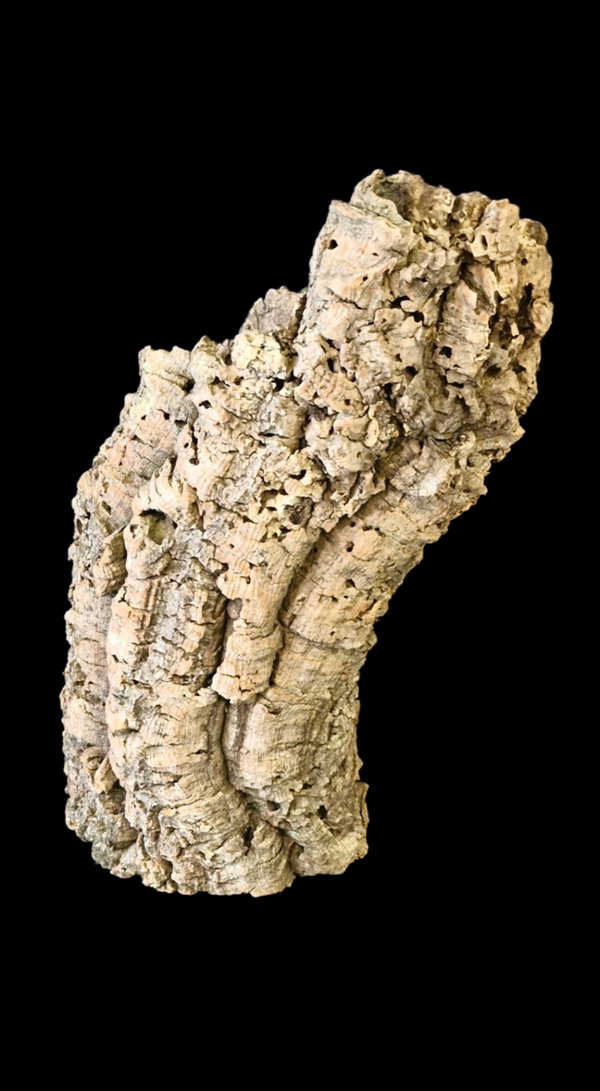 Tube de liège tiens seul debout 40.2 cm