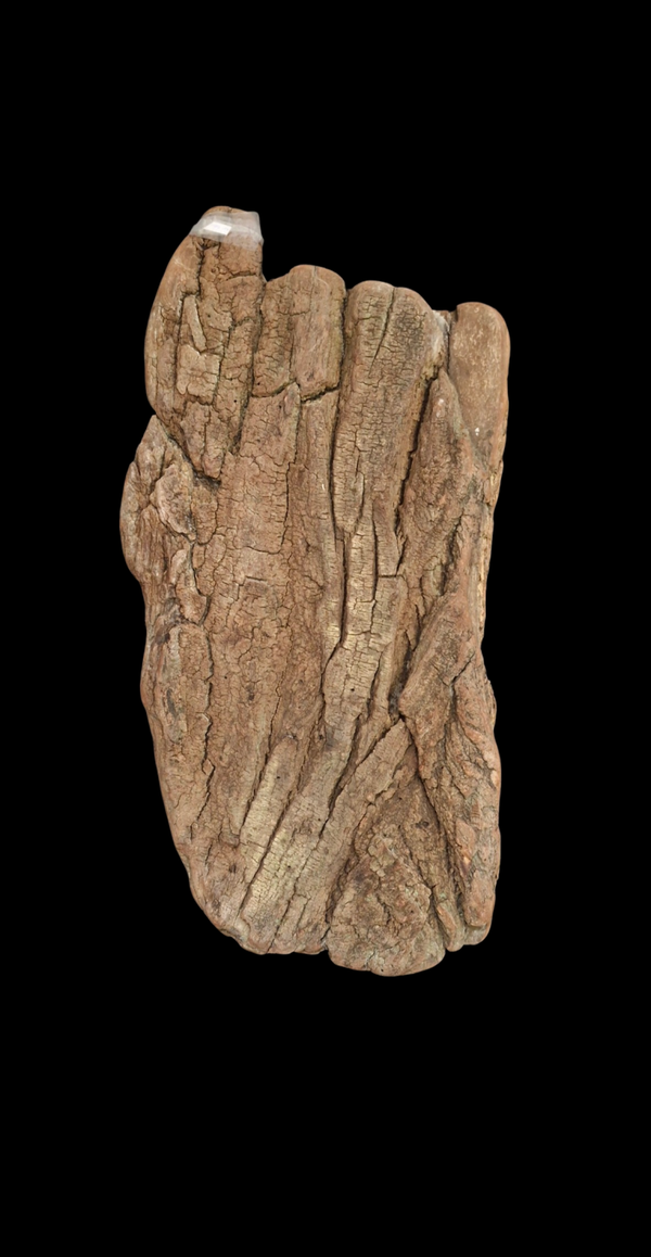 Immense Écorce flotté 77.7 cm