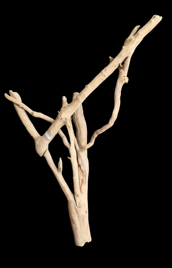 Très beau bois flotté 86.7 cm