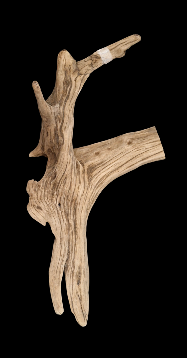 Magnifique pièce de bois flotté 80 cm