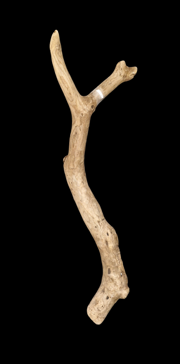 Beau bois flotté 95 cm