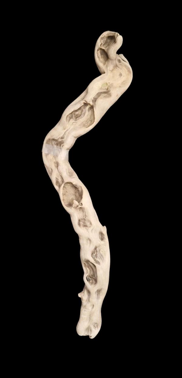 Belle racines flotté 85 cm