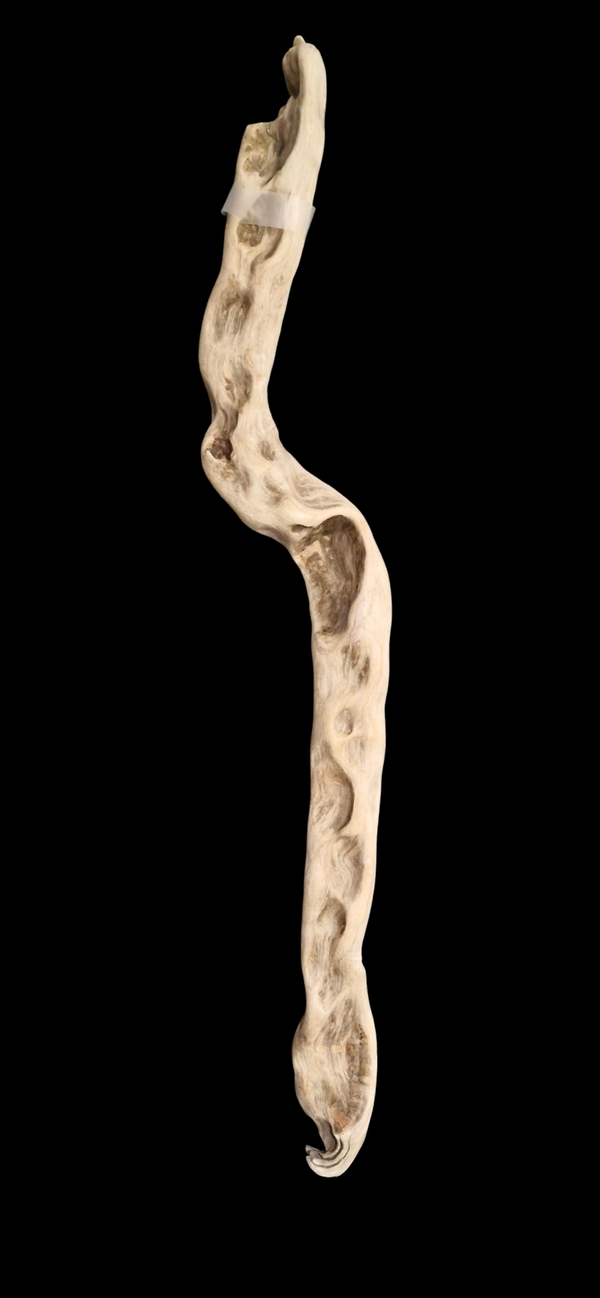 Racine flotté 90 cm