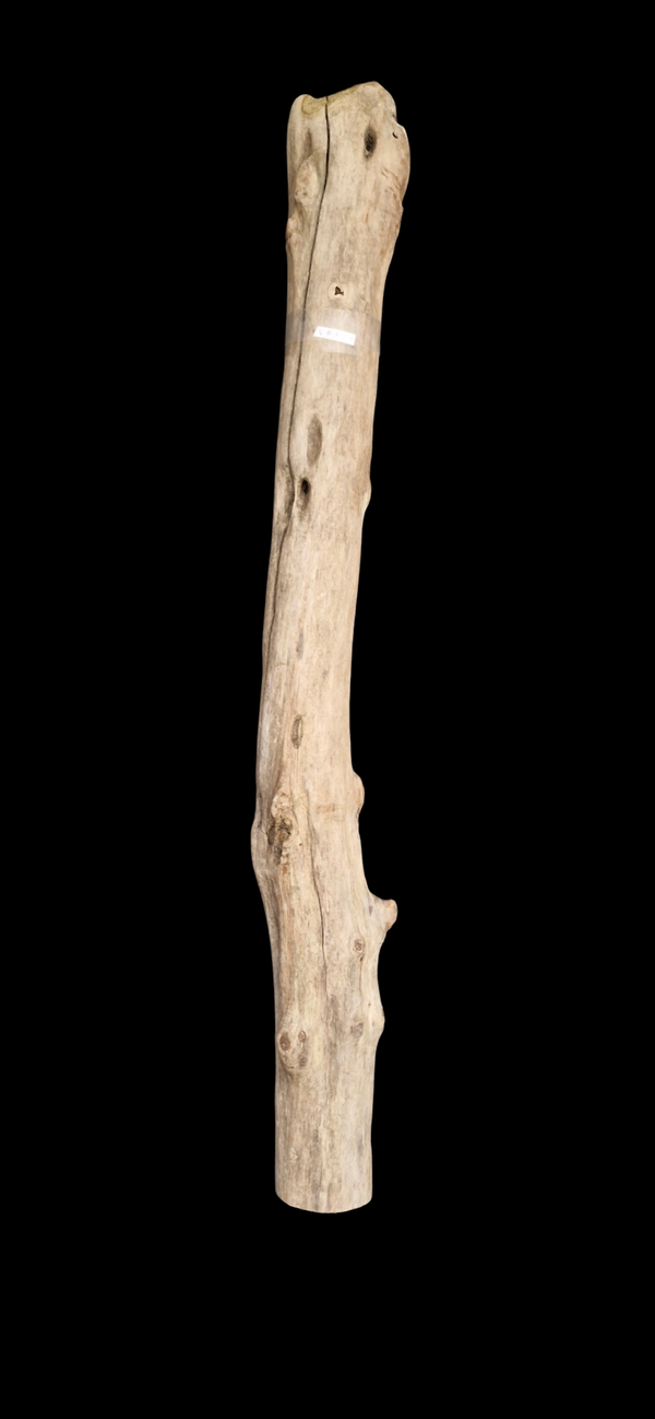 Bois flotté droit 95.4 cm