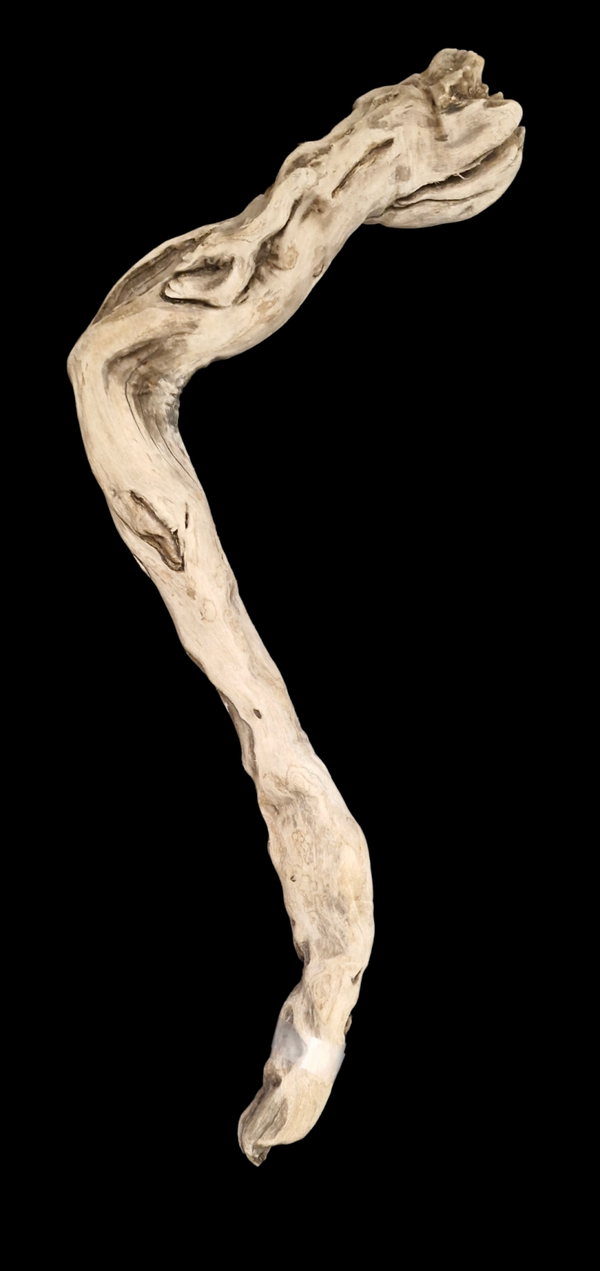 Racine flotté 88 cm