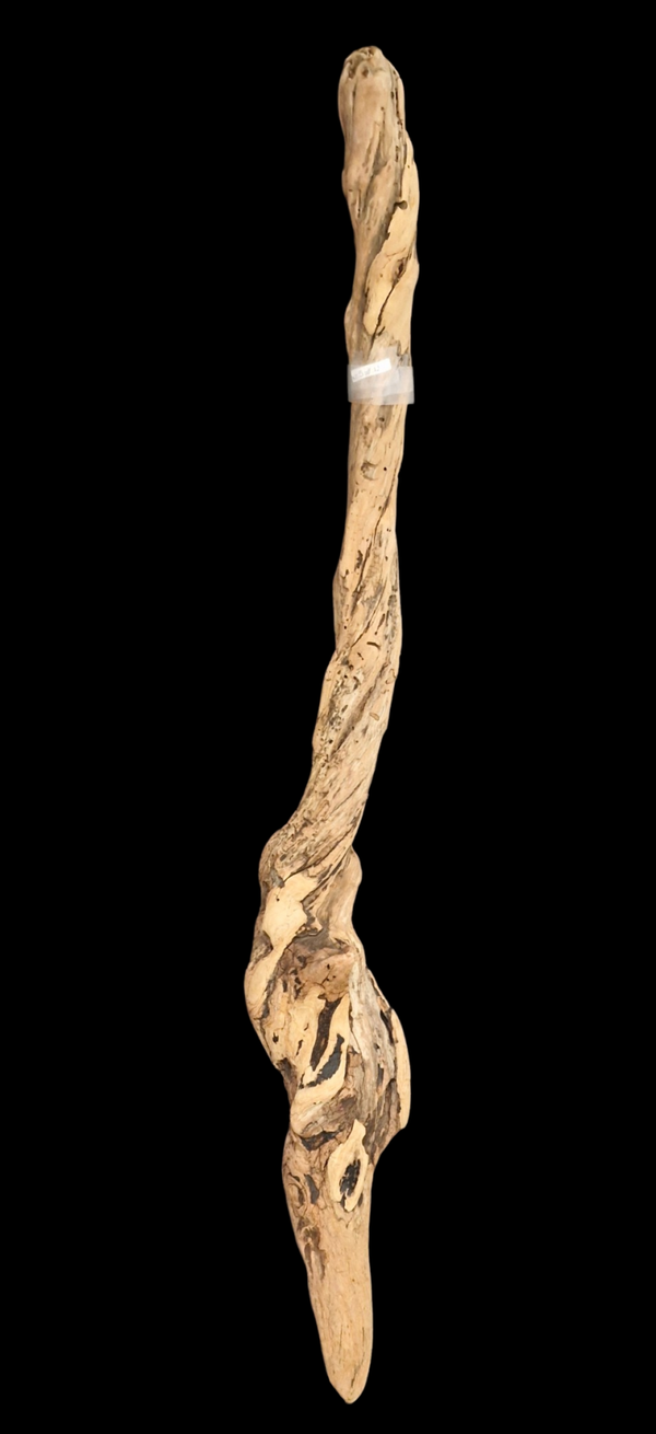 Beau bois flotté 103.3 cm