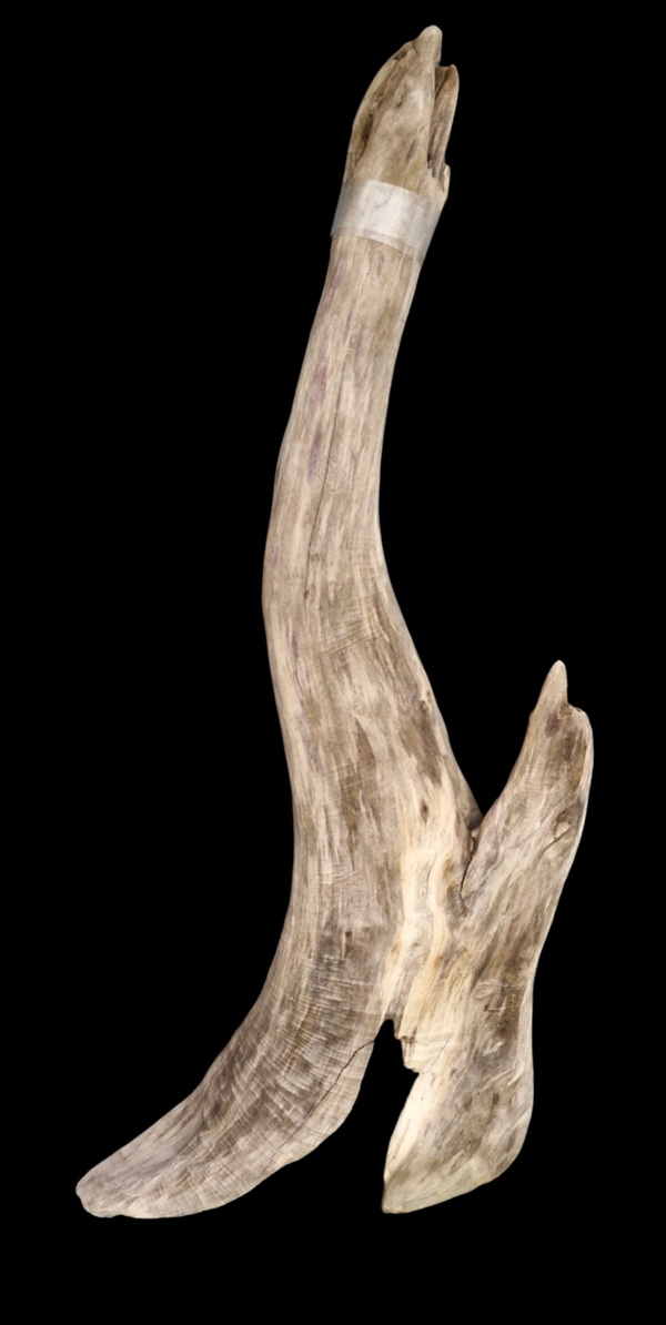 Beau bois flotté plutôt plat 69 cm