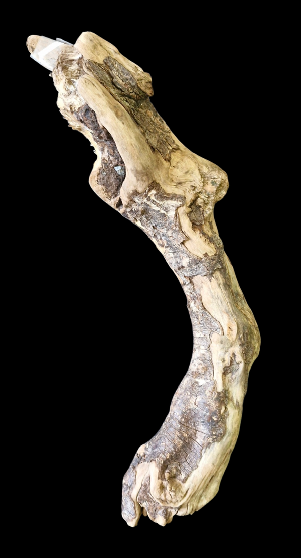 Bois flotté 65.2 cm