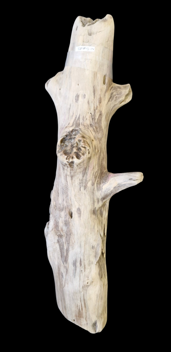 Bois flotté 62 cm