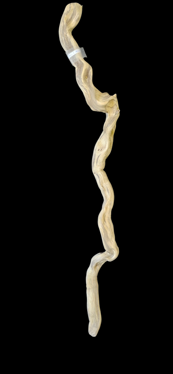 Racine flotté 76 cm