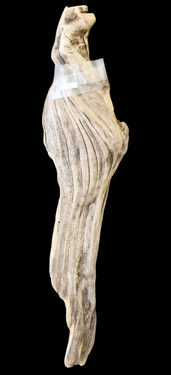 Bois flotté plat 51.8 cm