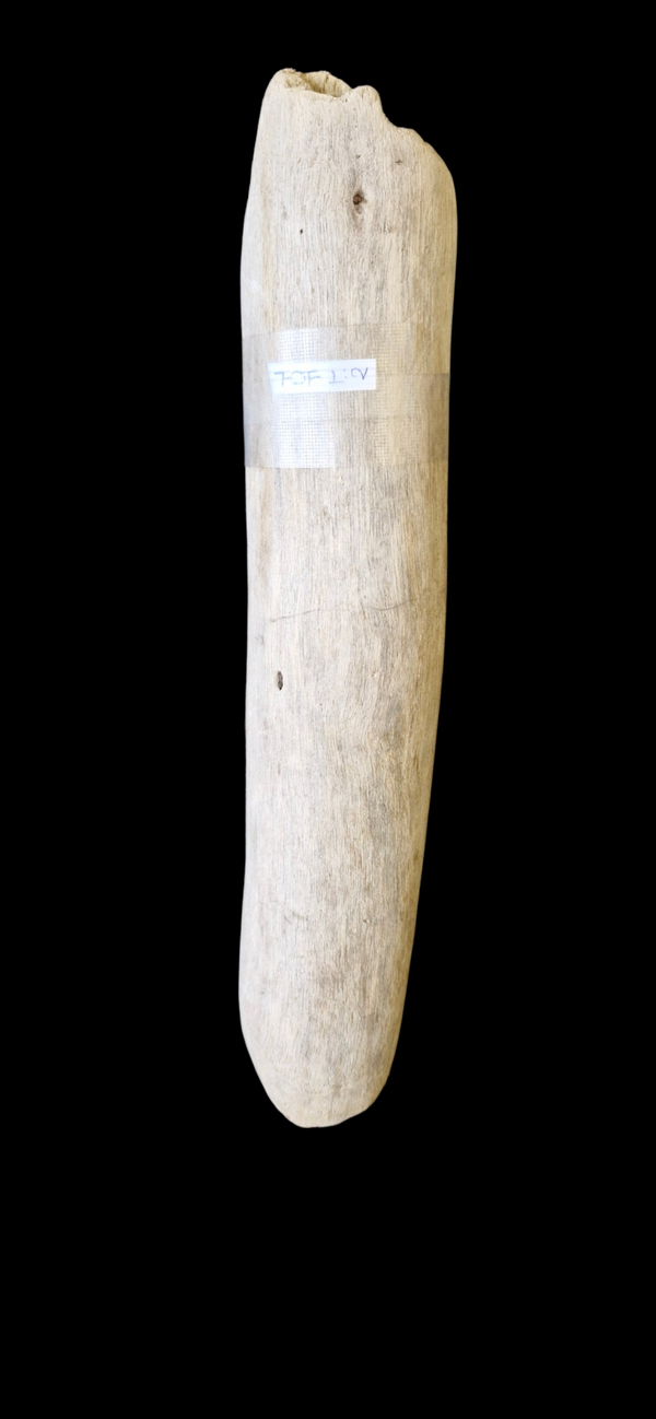 Bois flotté droit 36.5 cm