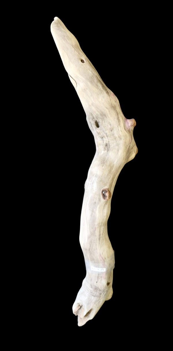 Bois flotté 51.7 cm