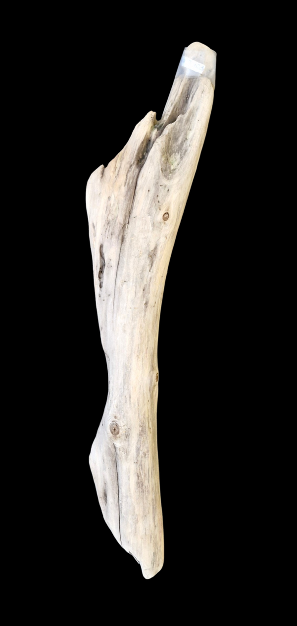 Bois flotté 59.8 cm