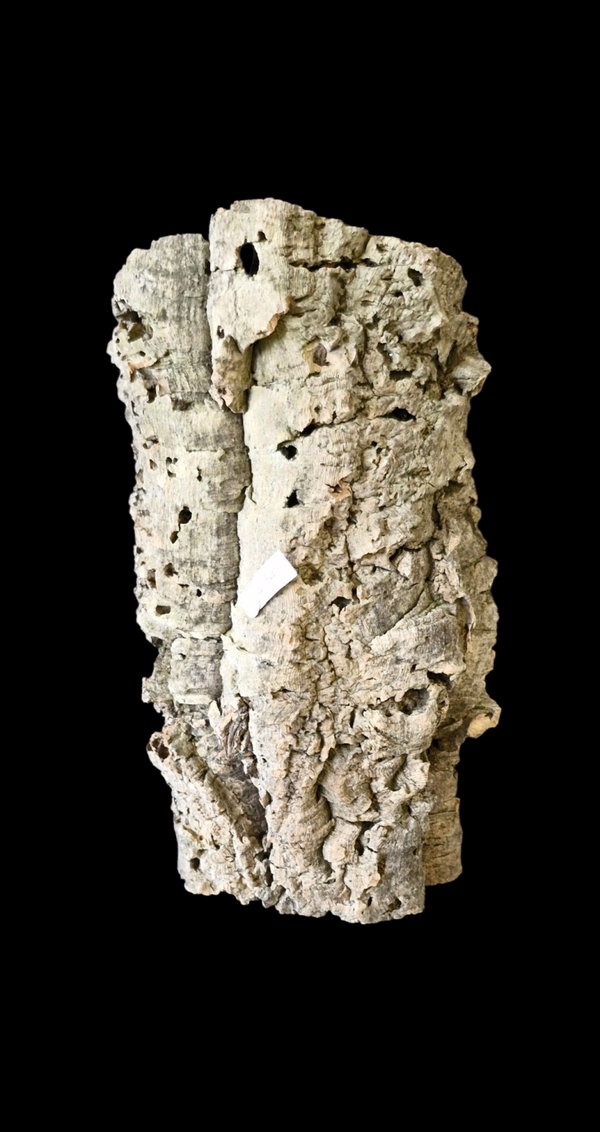 Tube de liège tiens seul debout 26.5 cm