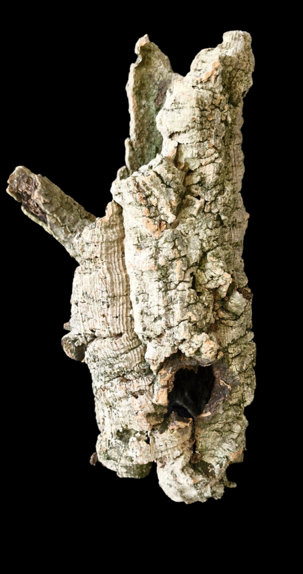 Tube de liège tiens seul debout 32.4 cm