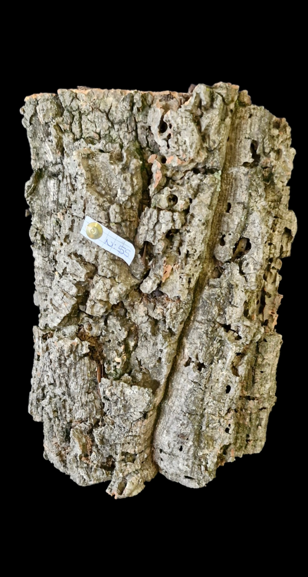 Tube de liège tiens seul debout 29.5 cm