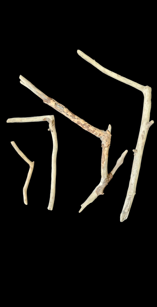 Lot de 4 bois flotté original 48 cm à 26 cm