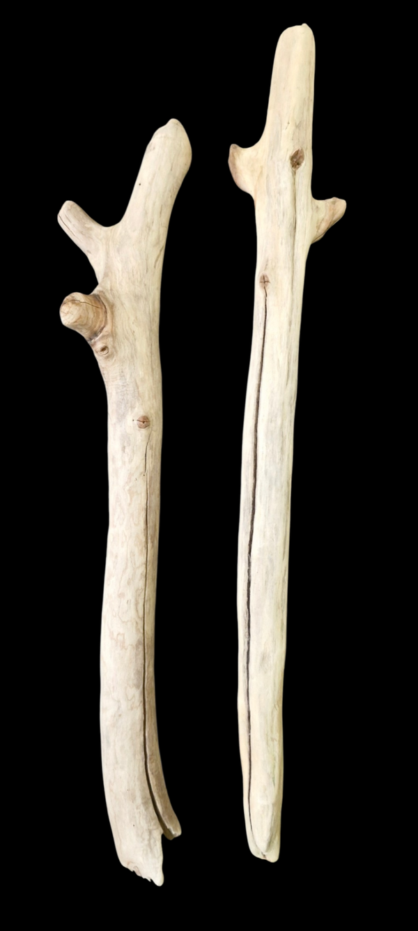 Lot de 2 bois flotté droit 63 cm à 57.7 cm