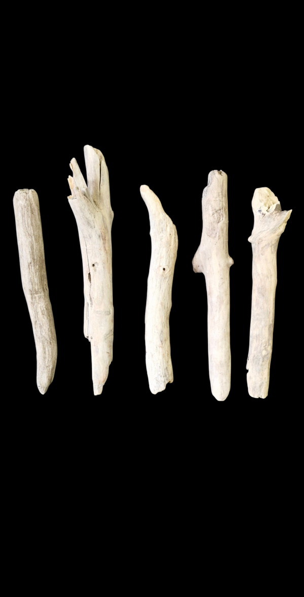 Lot de 5 bois flotté 31 cm a 25.5 cm