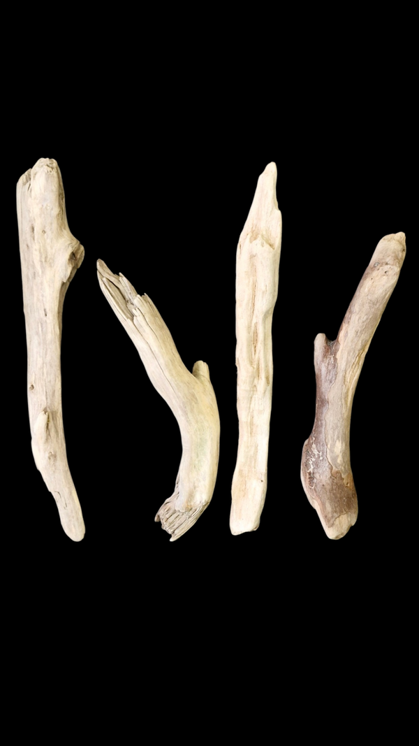 Lot de 4 bois flotté 42 cm a 35.5 cm