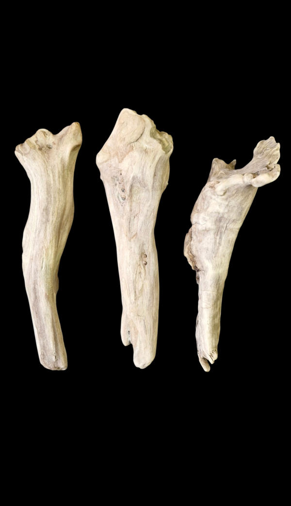 Lot de 3 bois flotté 33 cm à 29.5 cm