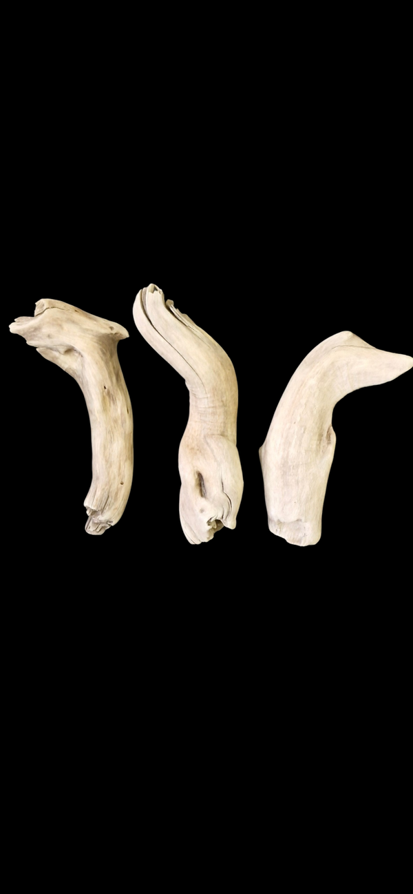 Lot de 3 bois flotté 29.5 cm à 27.2 cm