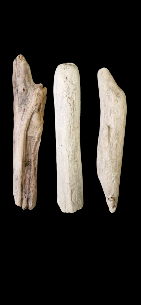 Lot de 3 bois flotté 28.8 cm à 28 cm