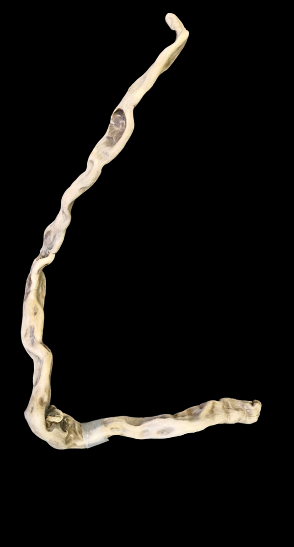 Racines flotté original 49.5 cm