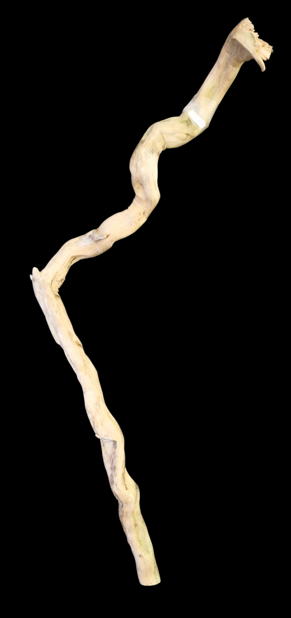 Racines flotté 75.9 cm