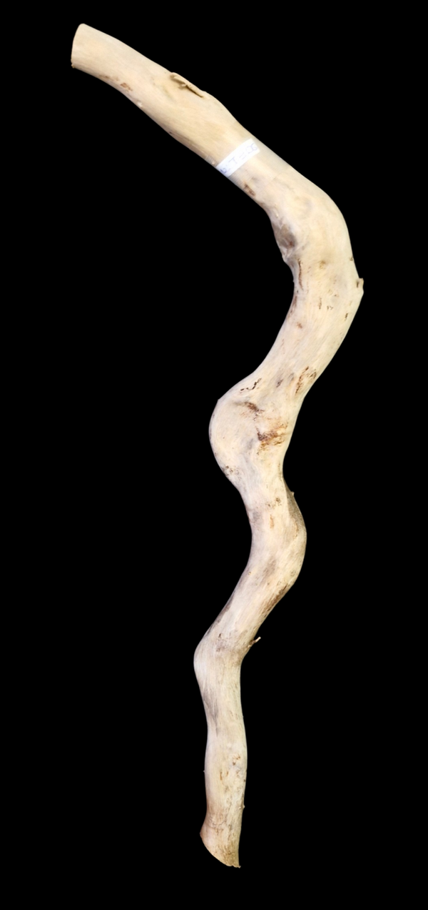 Bois flotté 50.9 cm