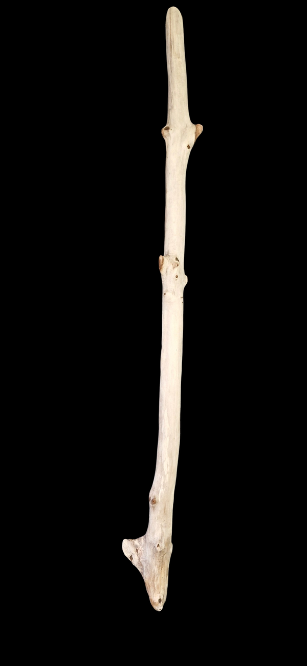 Bois flotté droit 122 cm