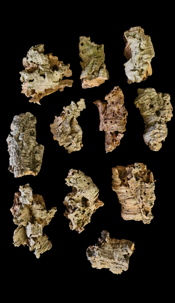 Lot de 11 écorces de liège 14 cm à 12.8 cm