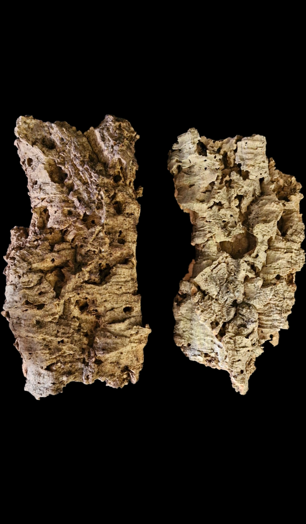 Lot de 2 écorces de liège 28.2 cm à 27.5 cm