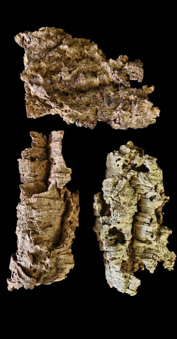 Lot de 3 écorces de liège 24.6 cm a 20.5 cm